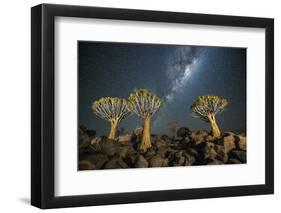 Quiver Tree Forest (Aloe Dichotoma) at Night with Stars and the Milky Way, Keetmanshoop, Namibia-Wim van den Heever-Framed Photographic Print