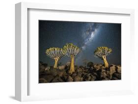 Quiver Tree Forest (Aloe Dichotoma) at Night with Stars and the Milky Way, Keetmanshoop, Namibia-Wim van den Heever-Framed Photographic Print