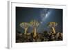 Quiver Tree Forest (Aloe Dichotoma) at Night with Stars and the Milky Way, Keetmanshoop, Namibia-Wim van den Heever-Framed Photographic Print