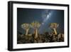 Quiver Tree Forest (Aloe Dichotoma) at Night with Stars and the Milky Way, Keetmanshoop, Namibia-Wim van den Heever-Framed Photographic Print