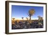 Quiver Tree Forest Outside of Keetmanshoop, Namibia at Dawn-Felix Lipov-Framed Photographic Print