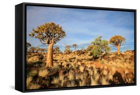 Quiver Tree Forest-watchtheworld-Framed Stretched Canvas