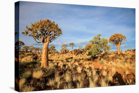 Quiver Tree Forest-watchtheworld-Stretched Canvas