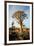 Quiver Tree Forest-watchtheworld-Framed Photographic Print