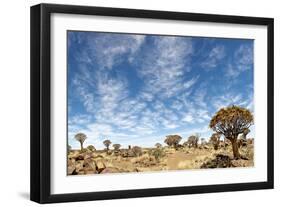 Quiver Tree Forest-mezzotint-Framed Photographic Print