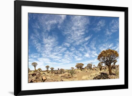 Quiver Tree Forest-mezzotint-Framed Photographic Print