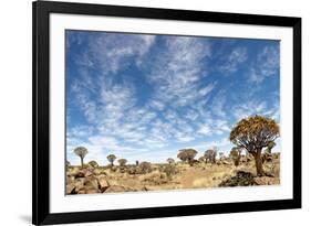 Quiver Tree Forest-mezzotint-Framed Photographic Print