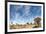 Quiver Tree Forest-mezzotint-Framed Photographic Print