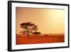 Quiver Tree in Namibia, Africa-Galyna Andrushko-Framed Photographic Print