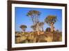 Quiver Tree Kokerboom Forest-null-Framed Photographic Print