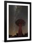 Quiver Tree, Namibia 2-Art Wolfe-Framed Photographic Print