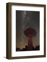 Quiver Tree, Namibia 2-Art Wolfe-Framed Photographic Print