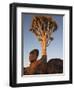 Quiver Tree, Quiver Tree Forest, Keetmanshoop, Namibia, Africa-Ann & Steve Toon-Framed Photographic Print