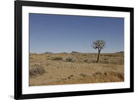 Quiver Tree-odmeyer-Framed Photographic Print