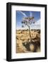 Quiver Tree-mddfiles-Framed Photographic Print