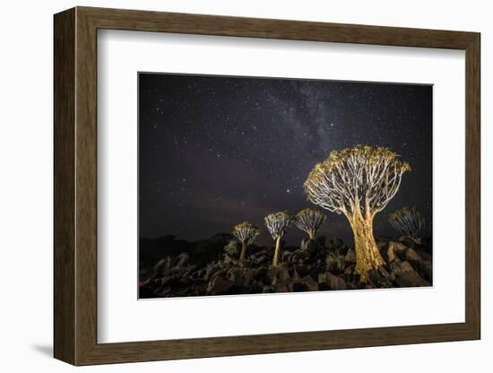 Quiver Trees (Aloe Dichotoma) with the Milky Way at Night, Keetmanshoop, Namibia-Wim van den Heever-Framed Photographic Print