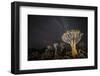 Quiver Trees (Aloe Dichotoma) with the Milky Way at Night, Keetmanshoop, Namibia-Wim van den Heever-Framed Photographic Print