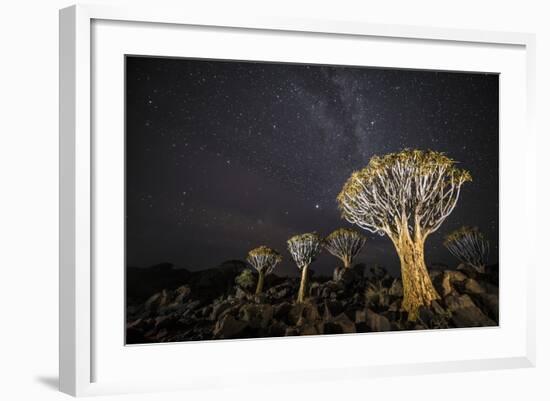 Quiver Trees (Aloe Dichotoma) with the Milky Way at Night, Keetmanshoop, Namibia-Wim van den Heever-Framed Photographic Print