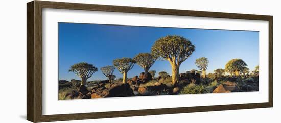 Quiver Trees, Namibia, Africa.-Lee Frost-Framed Photographic Print