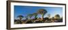 Quiver Trees, Namibia, Africa.-Lee Frost-Framed Photographic Print