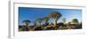 Quiver Trees, Namibia, Africa.-Lee Frost-Framed Photographic Print