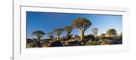 Quiver Trees, Namibia, Africa.-Lee Frost-Framed Photographic Print