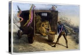 Quixote and Lion-Edmond Morin-Stretched Canvas