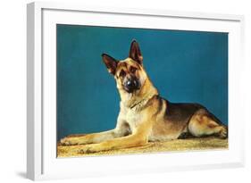 Quizzical German Shepherd-Found Image Press-Framed Photographic Print