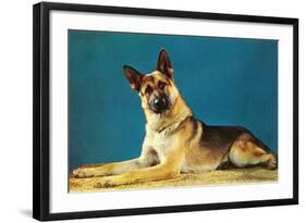 Quizzical German Shepherd-Found Image Press-Framed Photographic Print