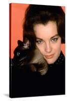 Quoi by neuf Pussycat WHAT'S NEW PUSSYCAT ?de CliveDonner with Romy Schneider, 1965 (photo)-null-Stretched Canvas