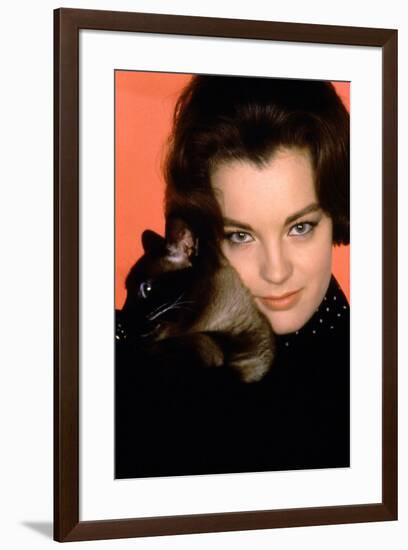 Quoi by neuf Pussycat WHAT'S NEW PUSSYCAT ?de CliveDonner with Romy Schneider, 1965 (photo)-null-Framed Photo