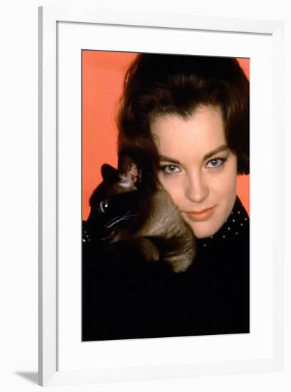 Quoi by neuf Pussycat WHAT'S NEW PUSSYCAT ?de CliveDonner with Romy Schneider, 1965 (photo)-null-Framed Photo