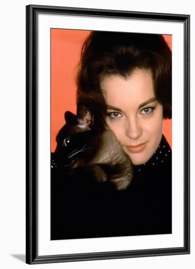 Quoi by neuf Pussycat WHAT'S NEW PUSSYCAT ?de CliveDonner with Romy Schneider, 1965 (photo)-null-Framed Photo