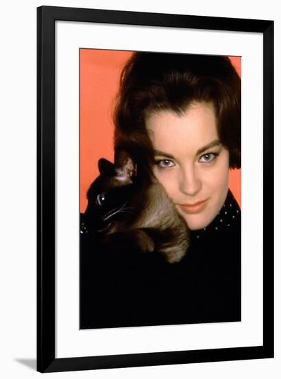 Quoi by neuf Pussycat WHAT'S NEW PUSSYCAT ?de CliveDonner with Romy Schneider, 1965 (photo)-null-Framed Photo