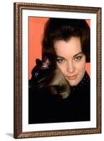 Quoi by neuf Pussycat WHAT'S NEW PUSSYCAT ?de CliveDonner with Romy Schneider, 1965 (photo)-null-Framed Photo