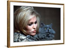 Quoi by neuf Pussycat WHAT'S NEW PUSSYCAT ?de CliveDonner with Ursula Andress, 1965 (photo)-null-Framed Photo