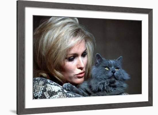 Quoi by neuf Pussycat WHAT'S NEW PUSSYCAT ?de CliveDonner with Ursula Andress, 1965 (photo)-null-Framed Photo