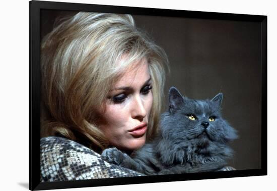 Quoi by neuf Pussycat WHAT'S NEW PUSSYCAT ?de CliveDonner with Ursula Andress, 1965 (photo)-null-Framed Photo