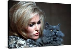 Quoi by neuf Pussycat WHAT'S NEW PUSSYCAT ?de CliveDonner with Ursula Andress, 1965 (photo)-null-Stretched Canvas