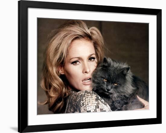 Quoi by neuf Pussycat WHAT'S NEW PUSSYCAT ?de CliveDonner with Ursula Andress, 1965 (photo)-null-Framed Photo