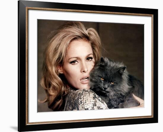 Quoi by neuf Pussycat WHAT'S NEW PUSSYCAT ?de CliveDonner with Ursula Andress, 1965 (photo)-null-Framed Photo