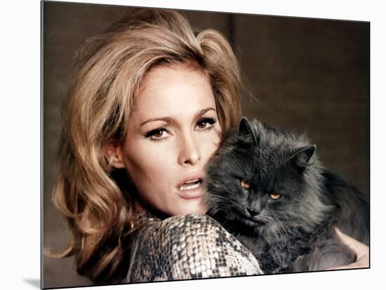 Quoi by neuf Pussycat WHAT'S NEW PUSSYCAT ?de CliveDonner with Ursula Andress, 1965 (photo)-null-Mounted Photo