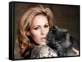 Quoi by neuf Pussycat WHAT'S NEW PUSSYCAT ?de CliveDonner with Ursula Andress, 1965 (photo)-null-Framed Stretched Canvas