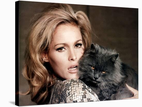 Quoi by neuf Pussycat WHAT'S NEW PUSSYCAT ?de CliveDonner with Ursula Andress, 1965 (photo)-null-Stretched Canvas