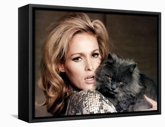 Quoi by neuf Pussycat WHAT'S NEW PUSSYCAT ?de CliveDonner with Ursula Andress, 1965 (photo)-null-Framed Stretched Canvas