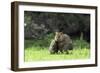 Quokka Female and Young-null-Framed Photographic Print