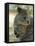 Quokka (Setonix Branchyuras)-Whitepointer-Framed Stretched Canvas