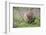 Quokka-ozflash-Framed Photographic Print