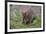 Quokka-ozflash-Framed Photographic Print