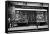 Quong Yee Wo & Co. Storefront in Chinatown NYC Photo - New York, NY-Lantern Press-Framed Stretched Canvas